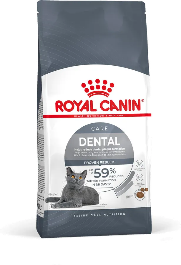 Royal Canin Dental Care Yetişkin Kedi Maması