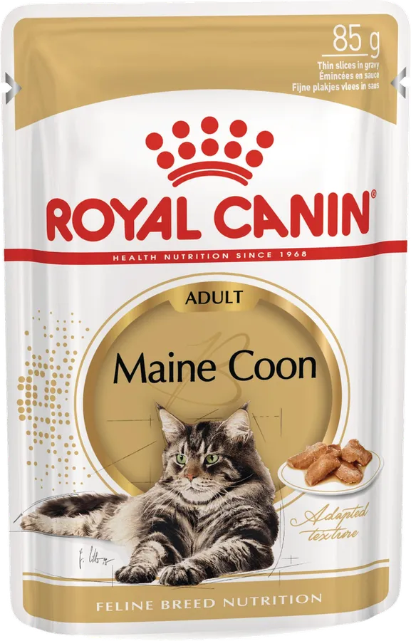Royal Canin Maine Coon Yetişkin Kedi Yaş Maması