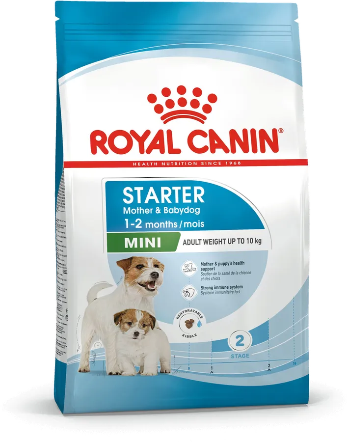 Royal Canin Mini Starter Mother & Babydog Dry Food