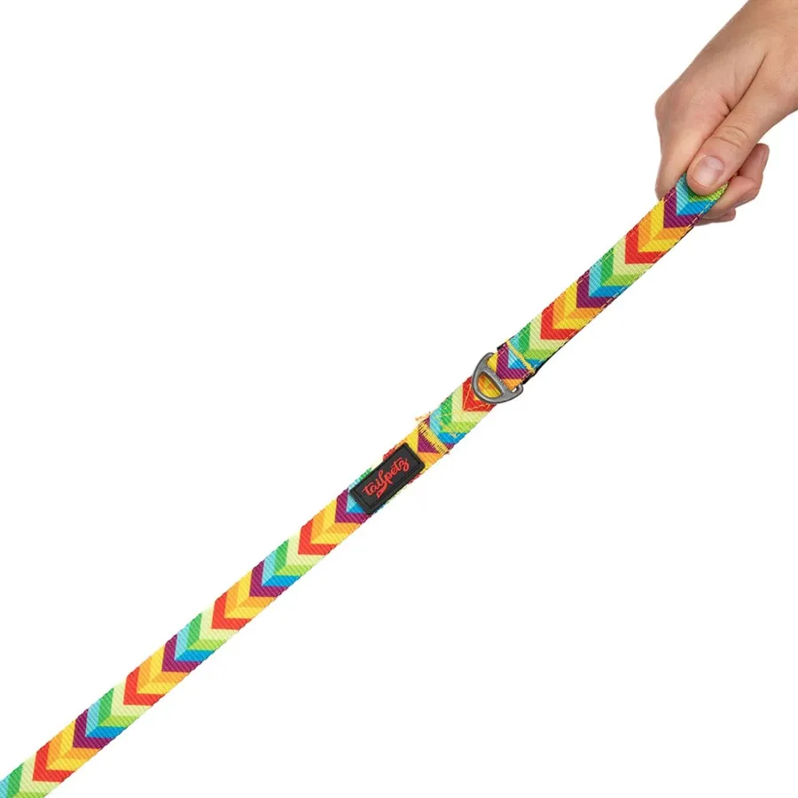 Tailpetz Rainbow Desenli Gezdirme Kayışı 130 cm
